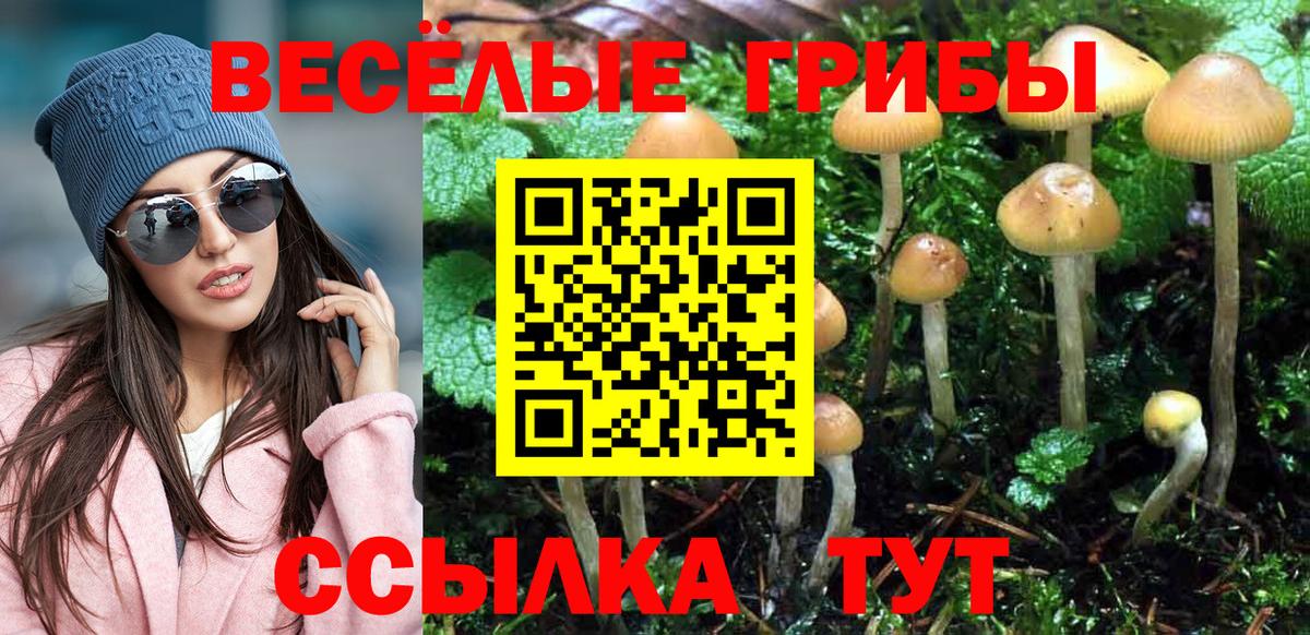 наркота  Галлюциногенные грибы MAGIC MUSHROOMS  Вход с VPN  Нижний Тагил 