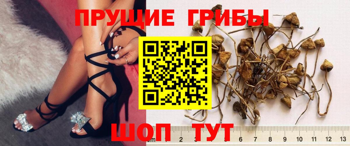 Псилоцибиновые грибы MAGIC MUSHROOMS Нижний Тагил